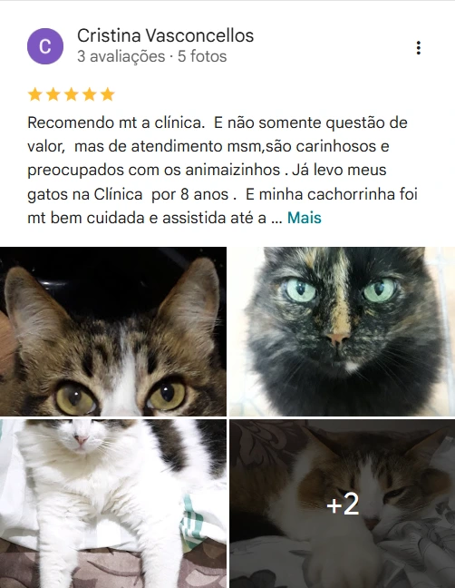 Avaliação de cliente no Google sobre a Agapeama