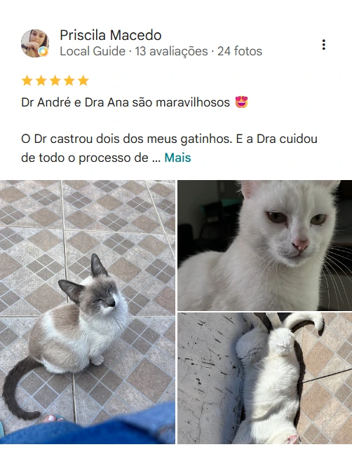 Avaliação de cliente no Google sobre a Agapeama