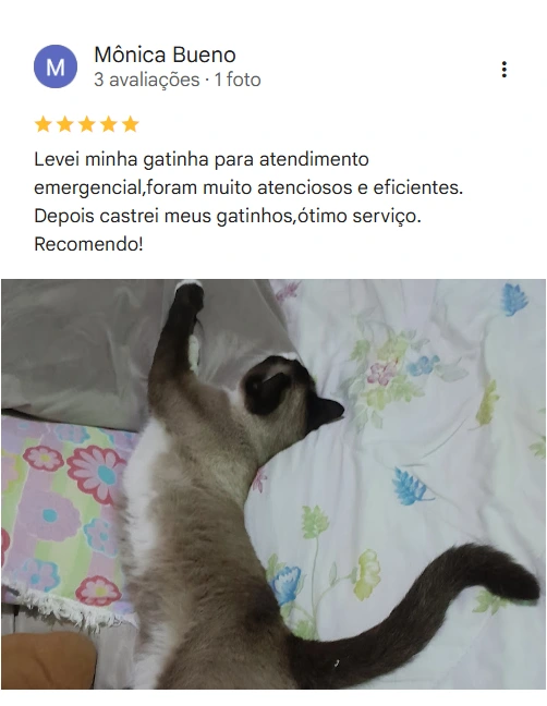 Avaliação de cliente no Google sobre a Agapeama
