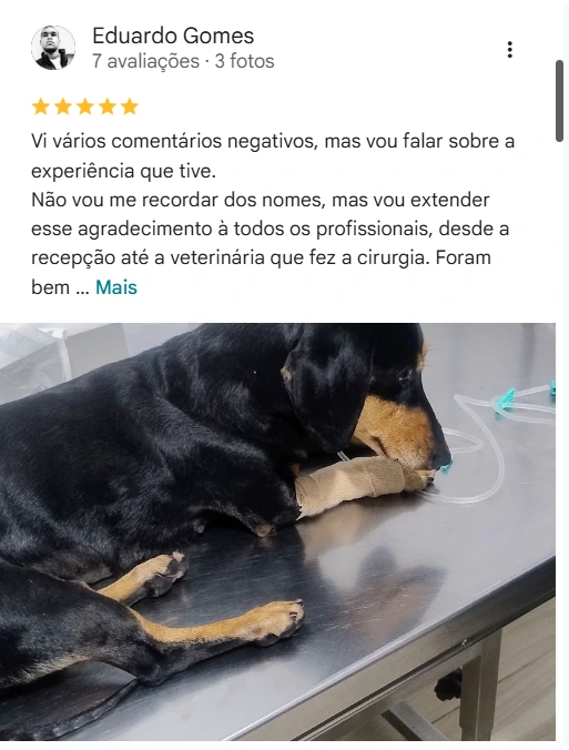 Avaliação de cliente no Google sobre a Agapeama
