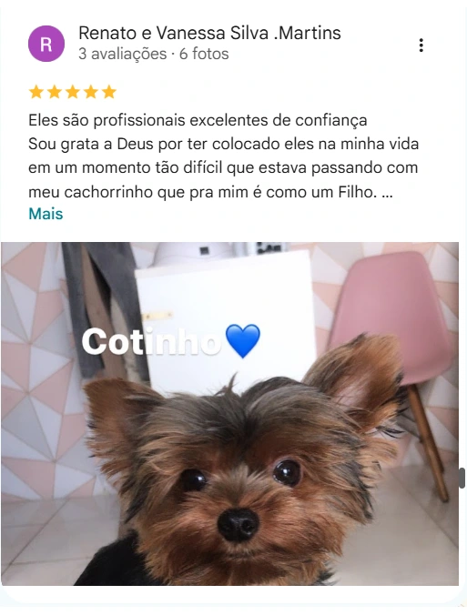 Avaliação de cliente no Google sobre a Agapeama